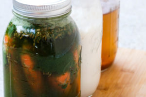 culturing and fermentation