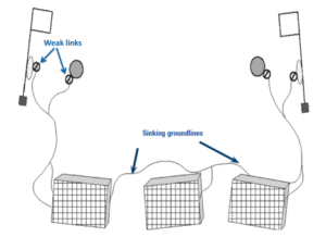 Ways to reduce sea mammals from getting caught in pots and traps designed to catch crustaceans.